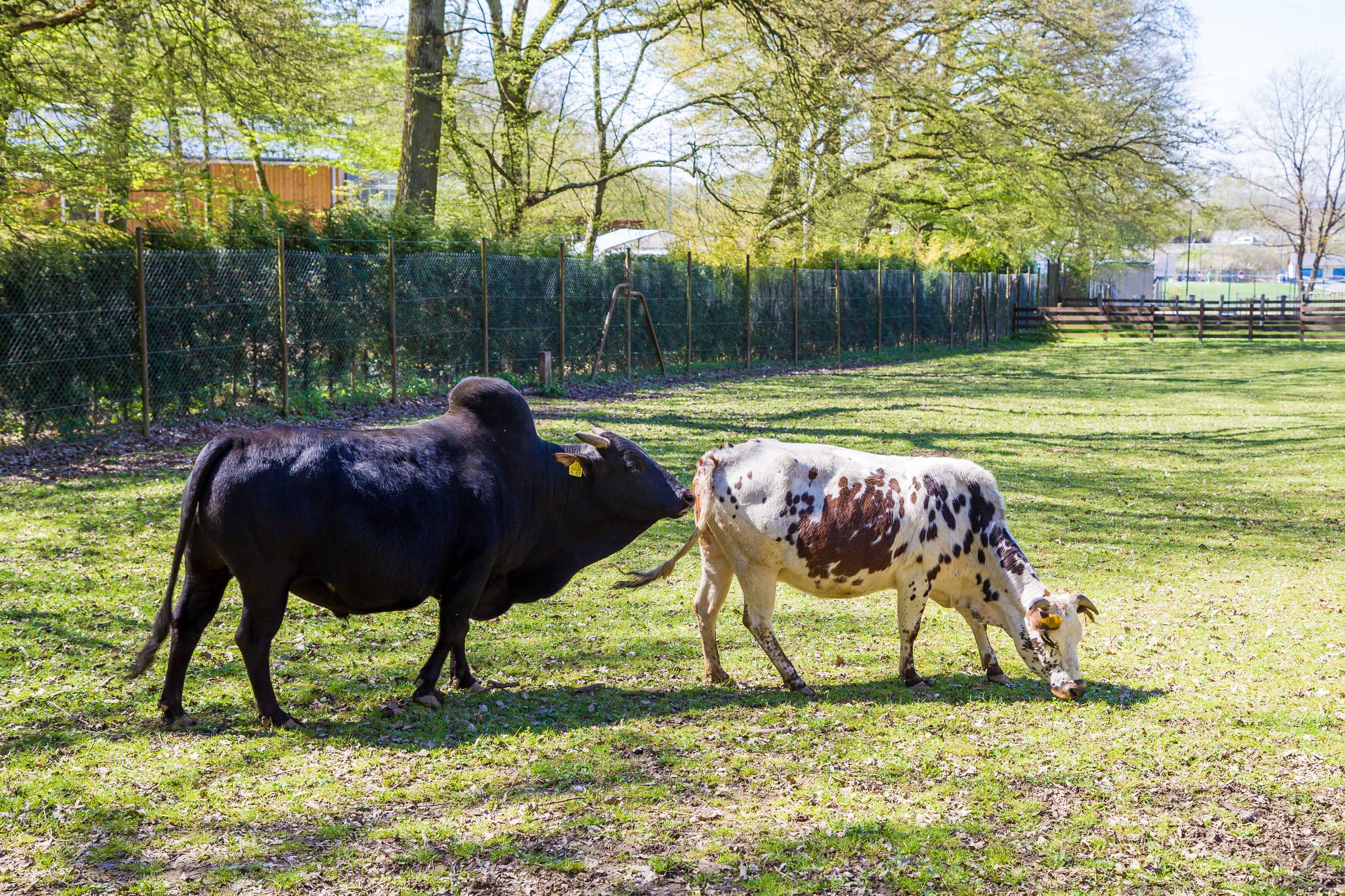 Mit den Kids im Märchenpark